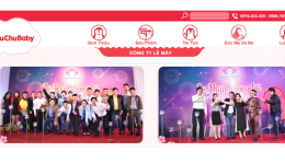 GIẢI PHÁP ERP CHUYÊN NGÀNH THỰC PHẨM, HÀNG TIÊU DÙNG CHO MẸ & BÉ – LÊ MÂY